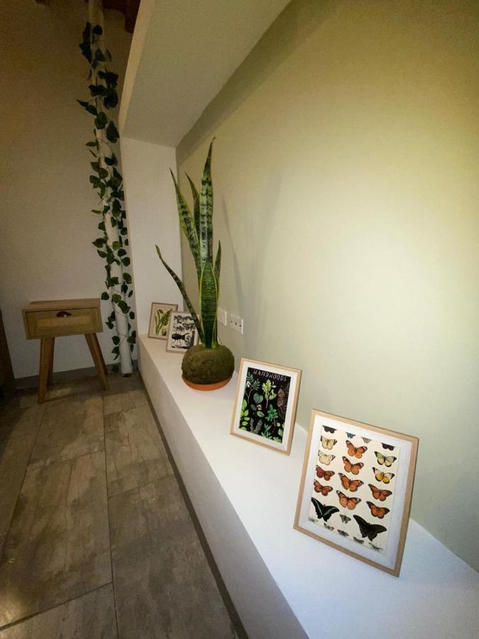 Subotanico Poblado, Medellin公寓 外观 照片